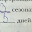 §10. Культура Древнего Египта
